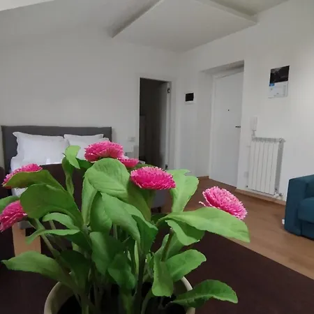Palazzo Venezian 5 Apartamento Trieste