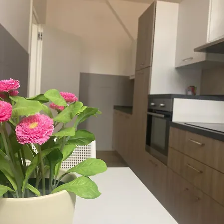 Apartment Palazzo Venezian 5 *